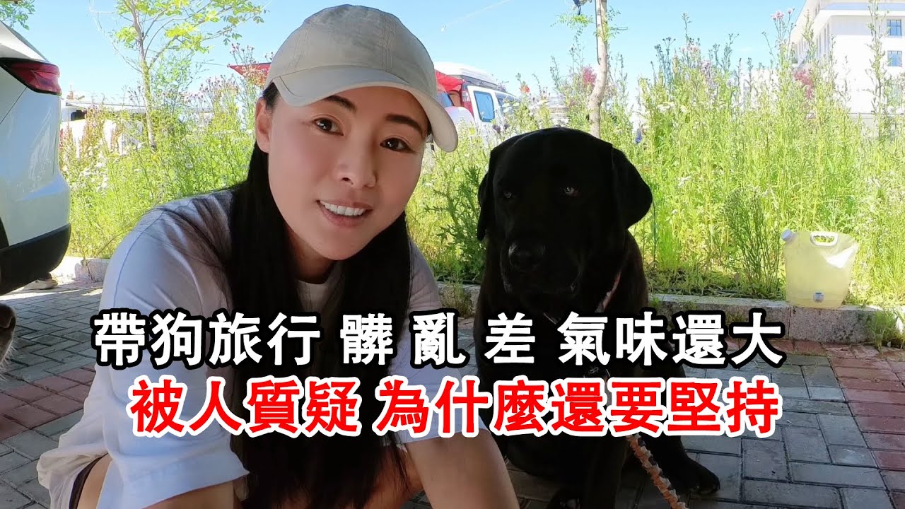 帶狗自駕旅行，髒亂差氣味還大，為什麼還要堅持，有心酸也有快樂