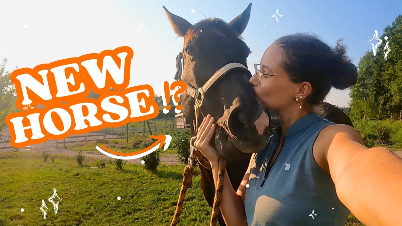 MEET ROW! | Horse Riding Vlog
