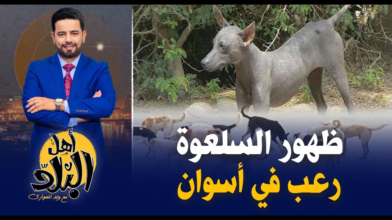 حقيقة ظهور السلعوة في أسوان, حالة من الرعب والخوف تصيب المواطنين والحكومة تنفي