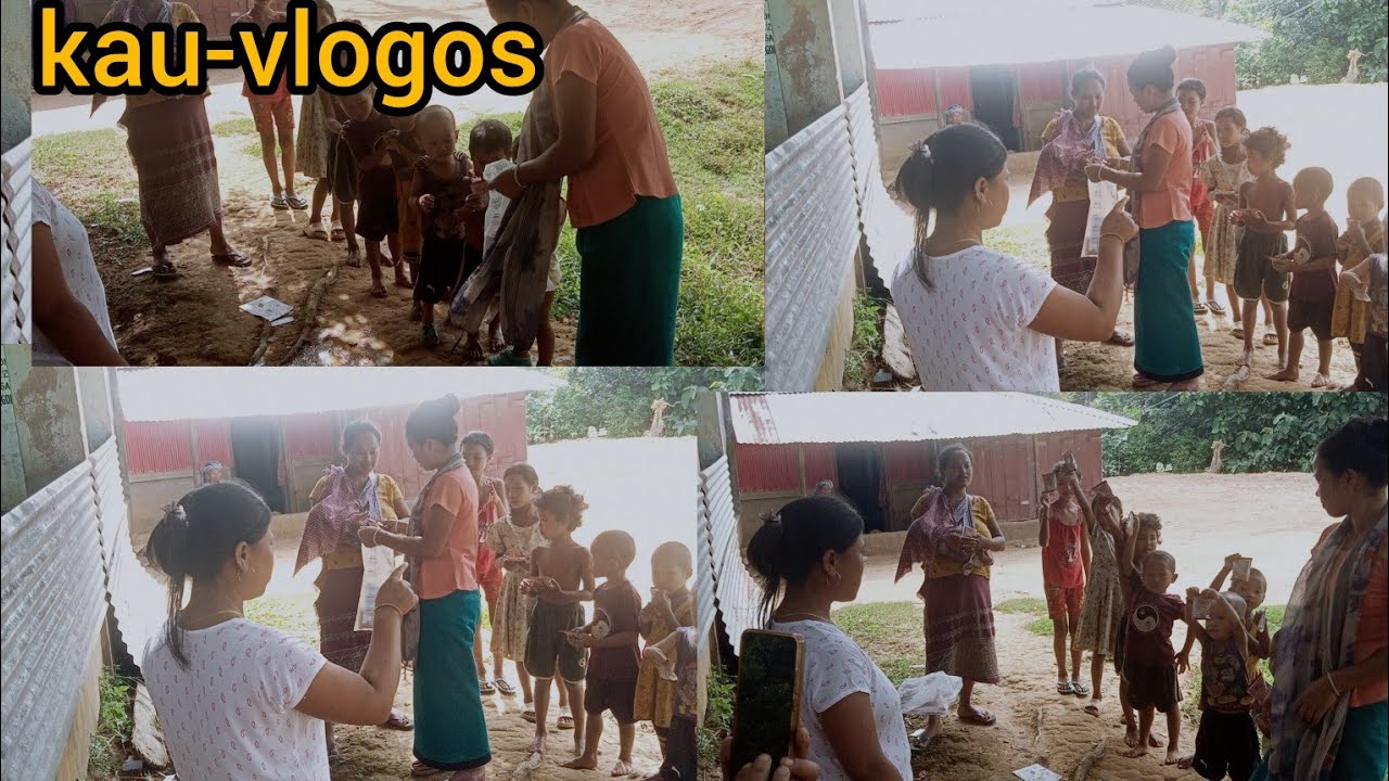 vlogos video 4k August 2024