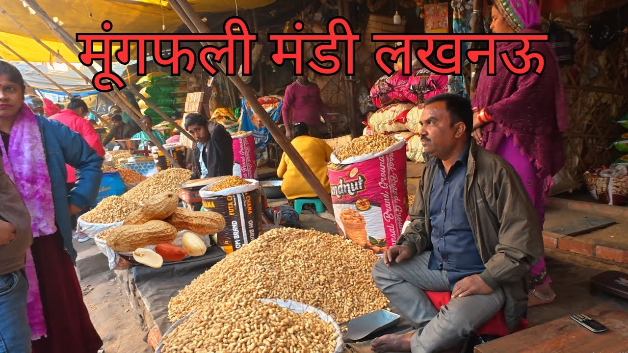 MOONGFALI MANDI LUCKNOW | Groundnut Mandi Lucknow | लखनऊ की मूंगफली मार्केट