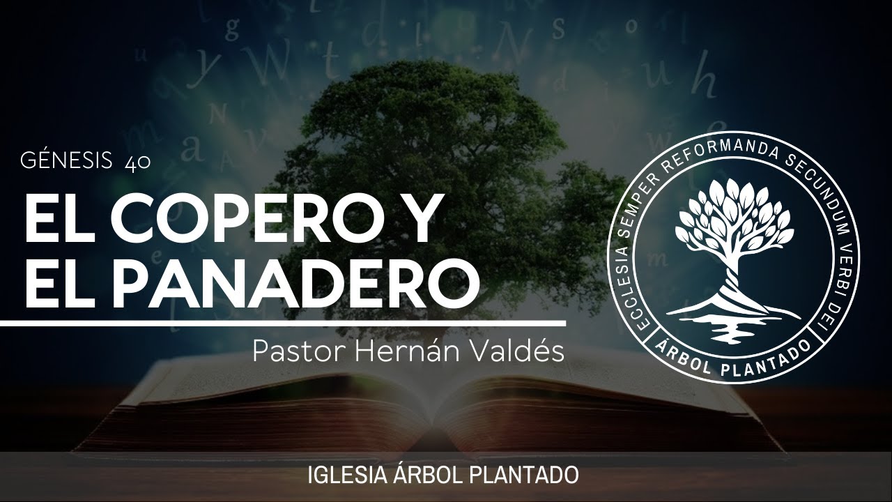 52 - El Copero y el Panadero  ( Génesis 40 )