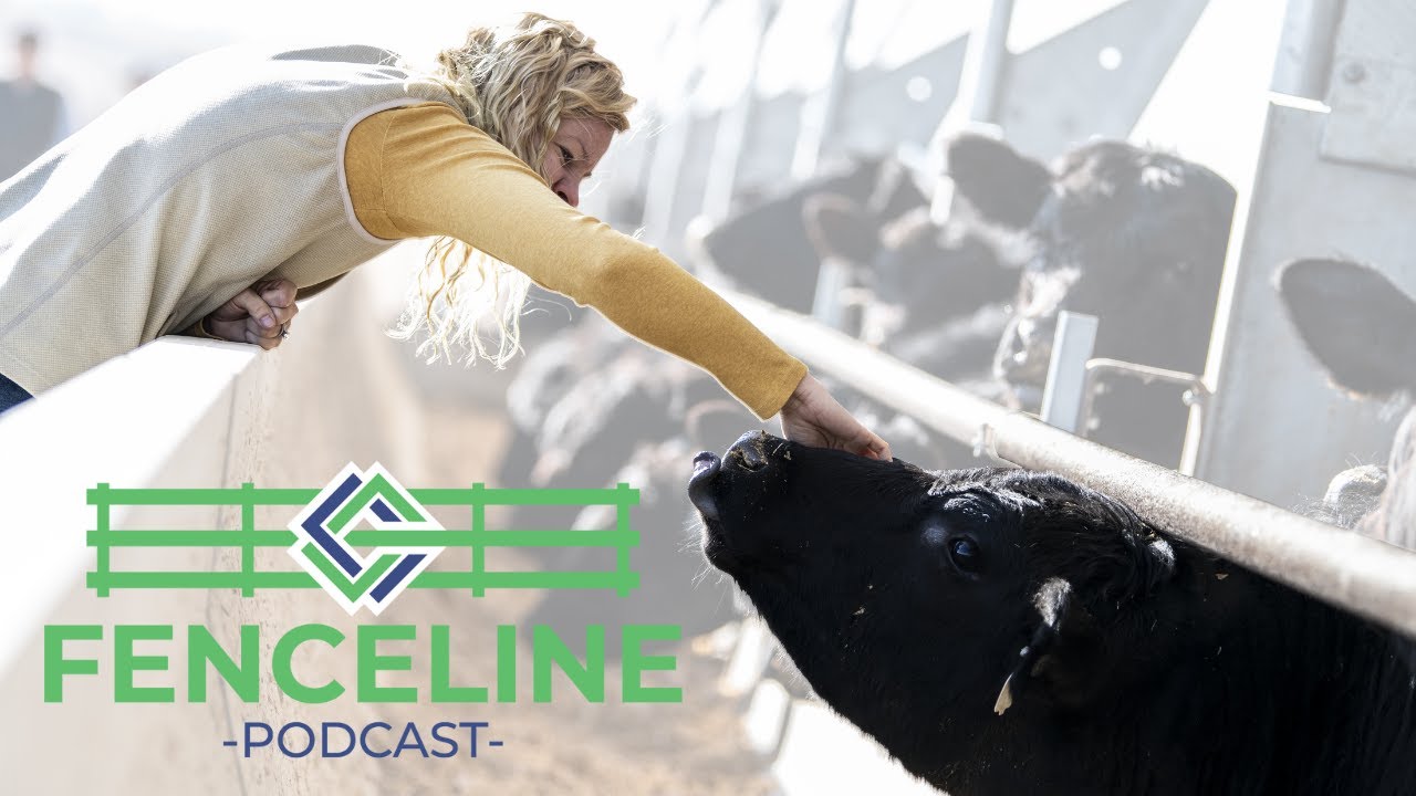 Farming for the Future: Focus on Beef Quality