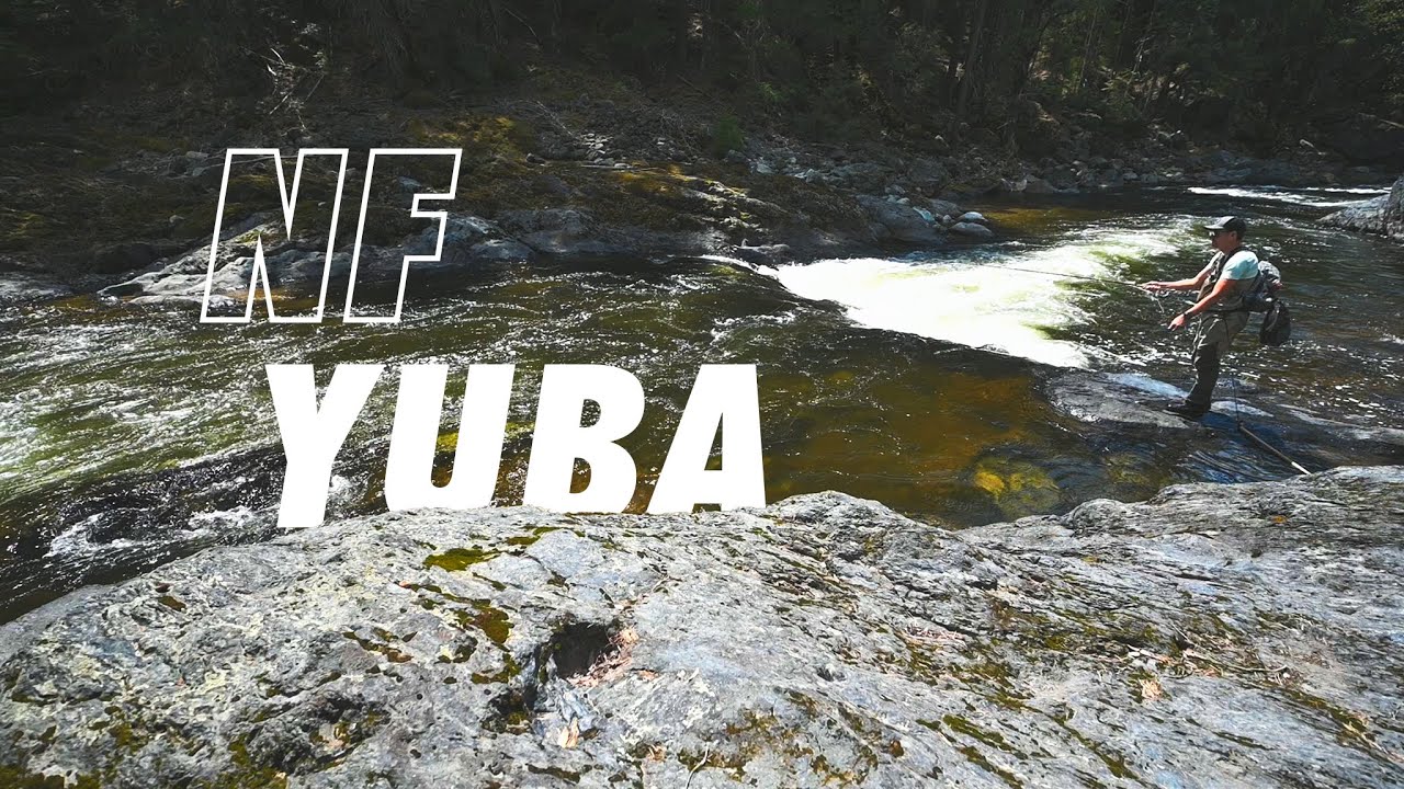 Does SIZE matter? // Fly Fishing the North Fork Yuba River