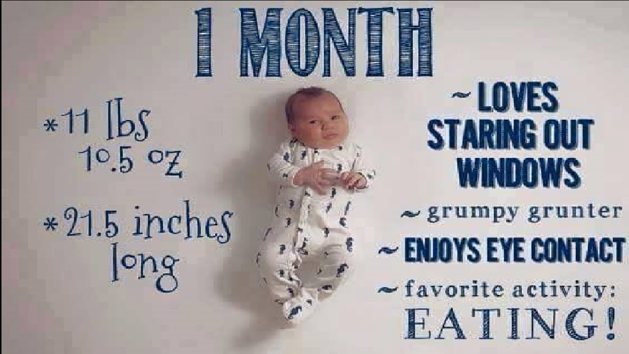 Baby Growth 1 to 12 Months | Facts Baby Growth & Development Stages