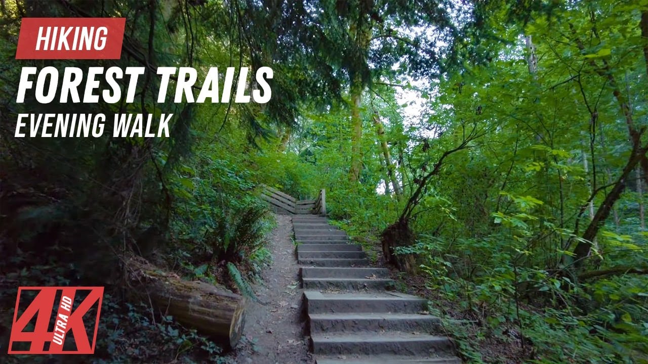 Do Fitness After Work - 4K Video for Treadmill Workout - Virtual Evening Hike on a Forest Trail