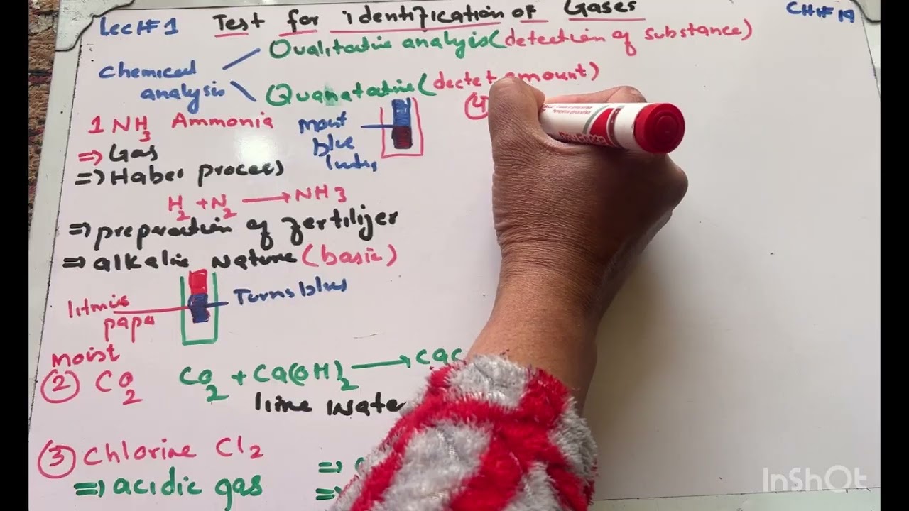 Test for identification of important Gases/lec#1 ch#19 #Qualitative-analysis #chemis #9thchemistry  