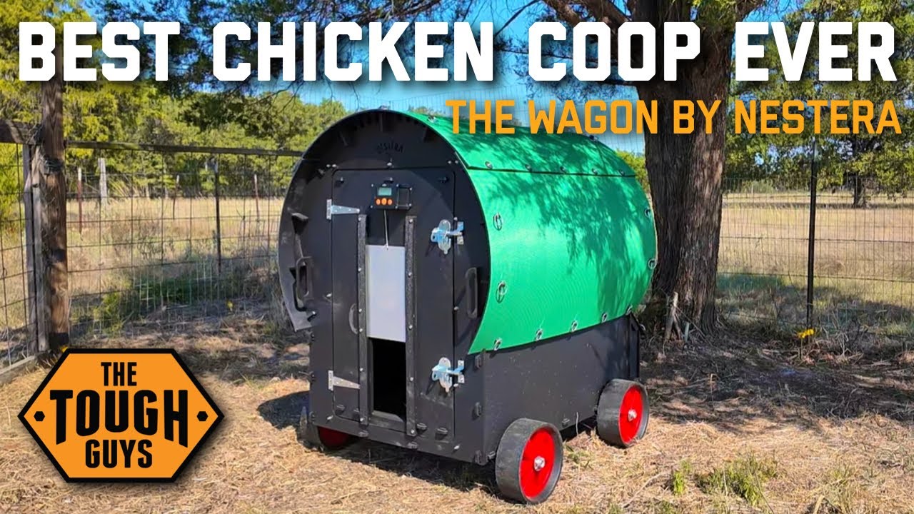 Best Chicken Coop Ever? The Wagon by Nestera