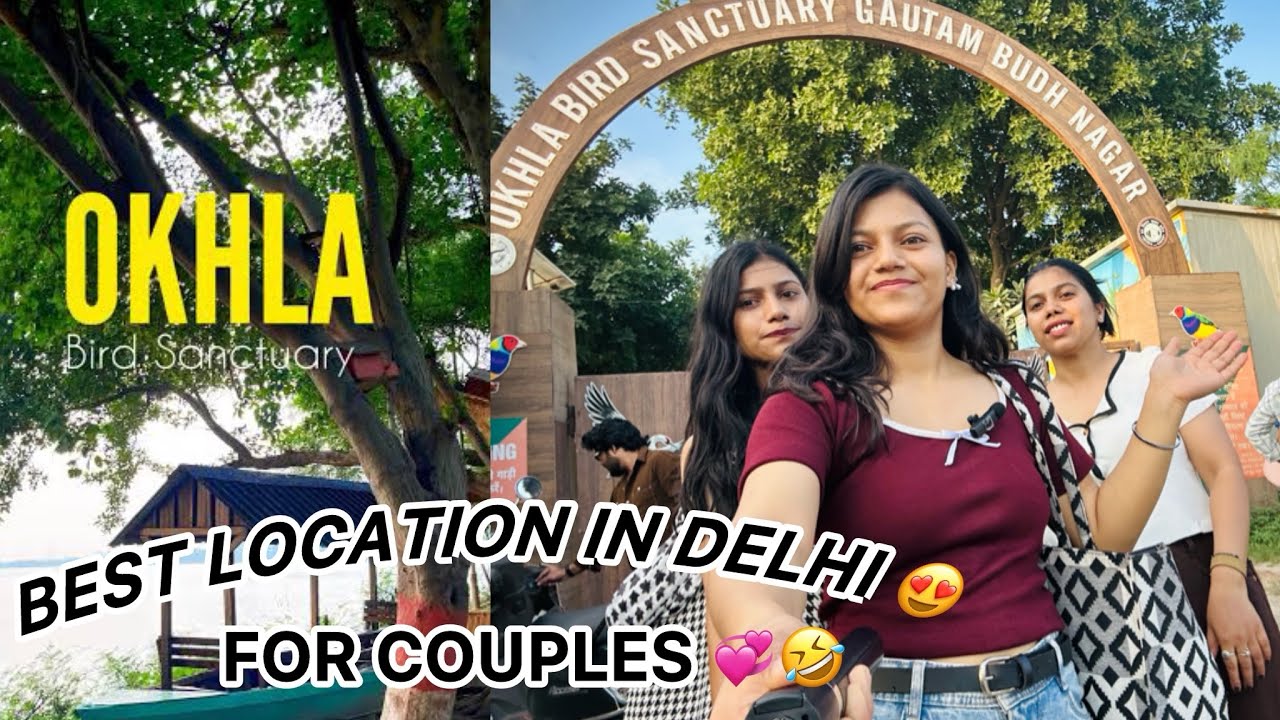 OKHLA BIRD SANCTUARY IN NOIDA(DELHI)! Full details! Peaceful Park! A day with plants and birds 🍃🕊️!