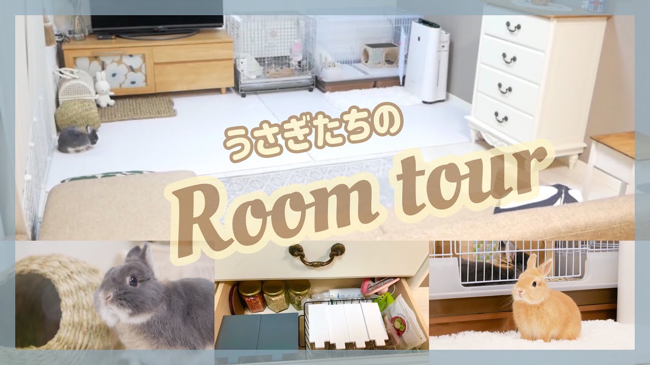 【うさぎ部屋】ルームツアー