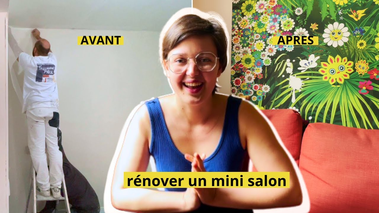 R&Eacute;NOVATION D&rsquo;UN PETIT SALON