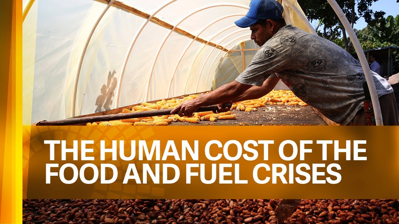 The Human Cost of the Food and Fuel Crises | WBG-IMF 2022 Annual Meetings
