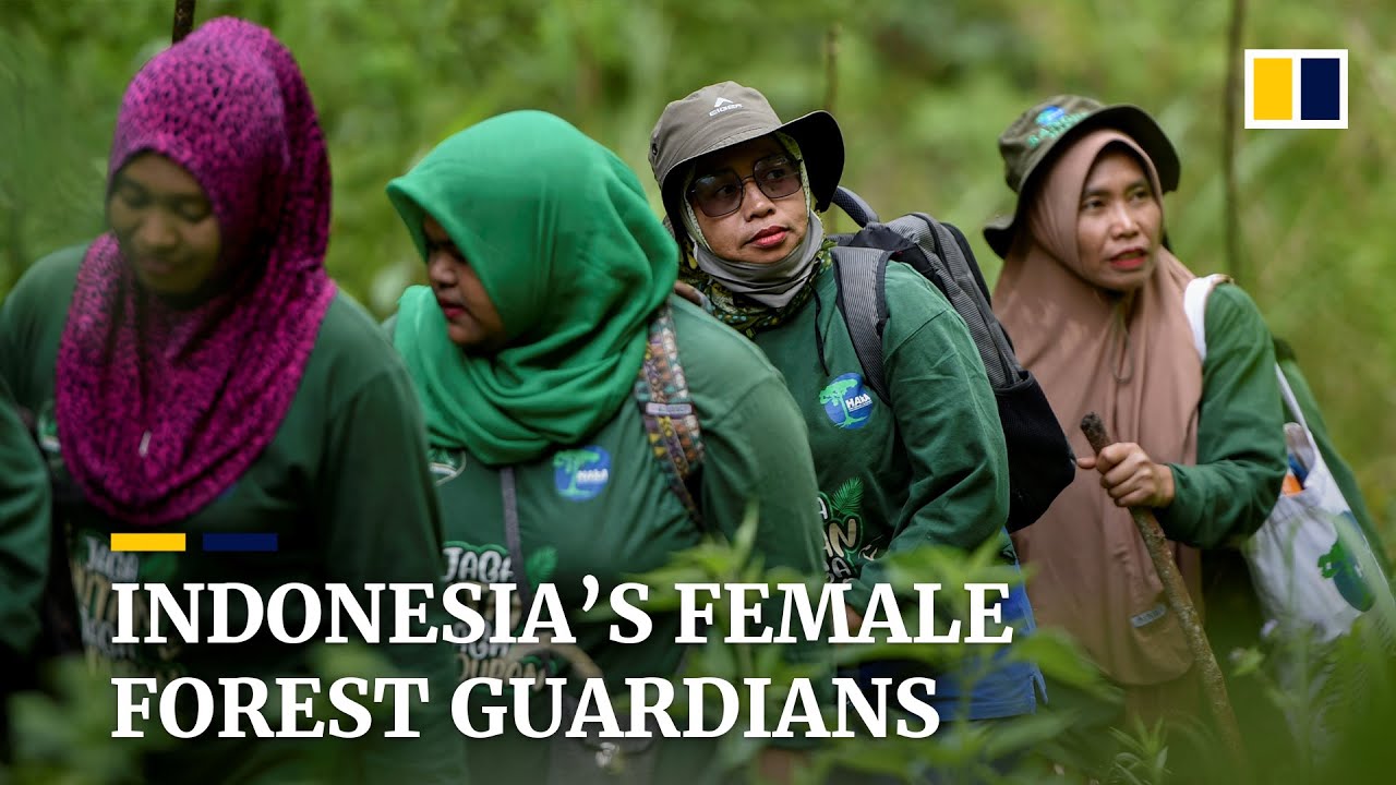 Indonesia’s female forest guardians fight illegal poaching, logging and gender stereotypes