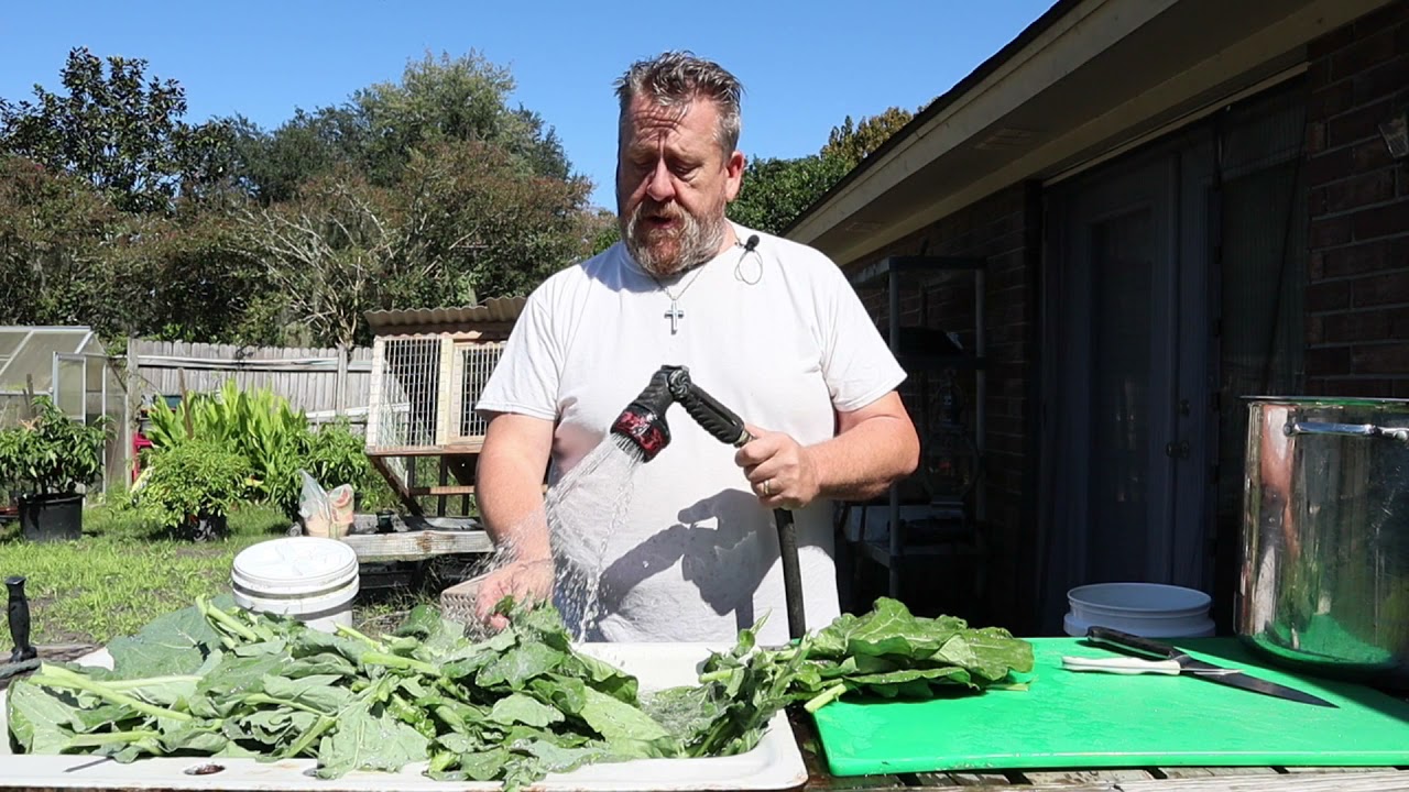 Canning Collard Greens