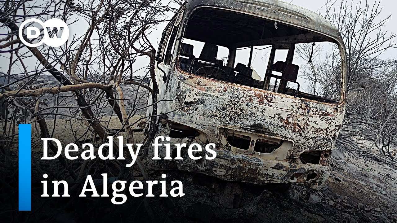 Algeria wildfires kill at least 38, hundreds more left with burns or respiratory problems | DW News