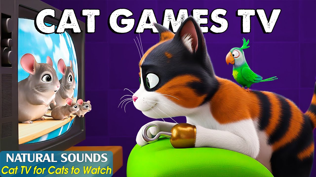 Entertainment CAT TV－Stimulating Cat Games & Videos for Cats to Watch 😼Keep Your Cats Happy & Active