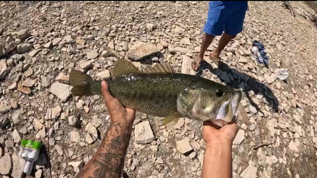 New personal best (cast to catch)