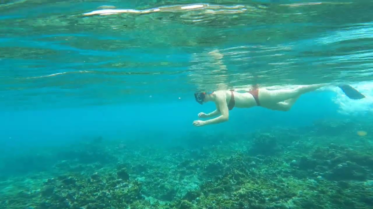 Anse Petite Marie-Louise - Mahé Seychelles
