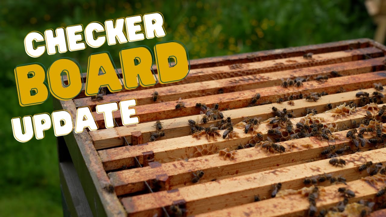 Another Checkerboard Update!