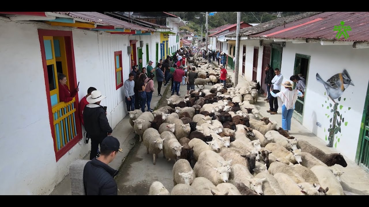 Marulanda - Caldas,  Festival de la Lana, tierra de Tradiciones.