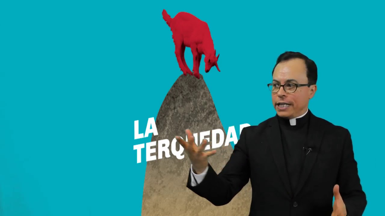 LA TERQUEDAD