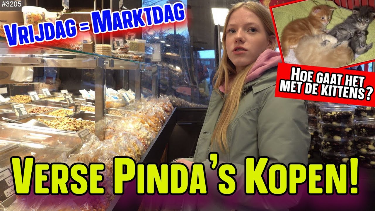Verse PINDA'S kopen op de MARKT in Zoetermeer. Voor de KITTENS een Speciale Koi om te SPELEN  #3205