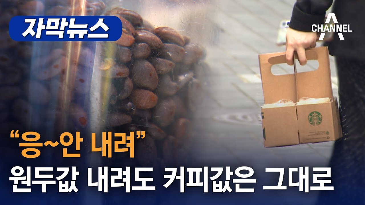 [자막뉴스] 