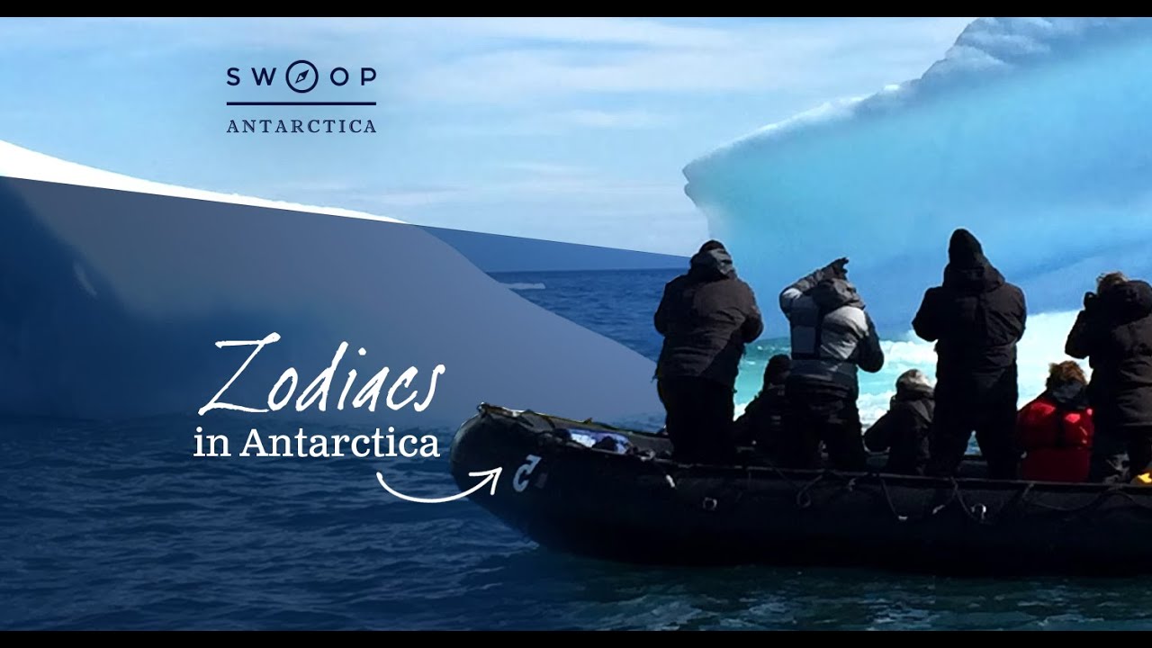 Zodiac Cruising In Antarctica