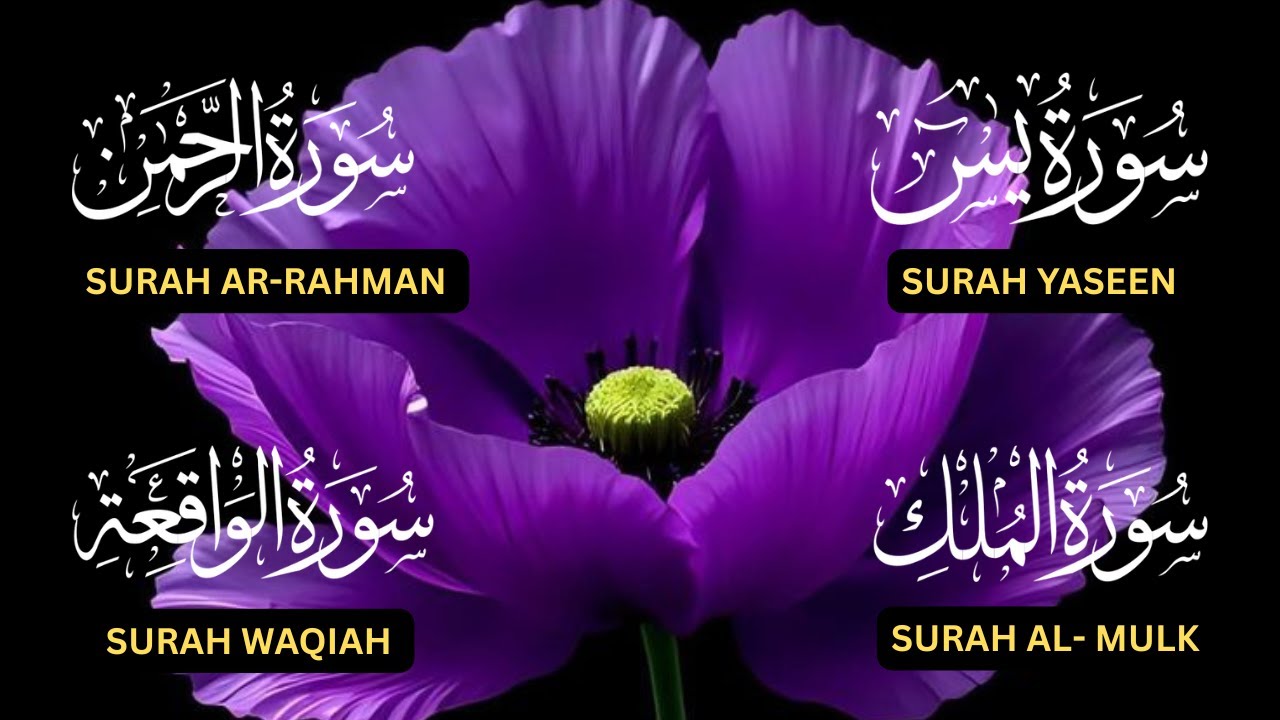 Surah Yaseen♥️, Surah Rahman♥️, Surah Waqiah♥️, Surah Al Mulk♥️| Beautiful Divine Recitation❤️