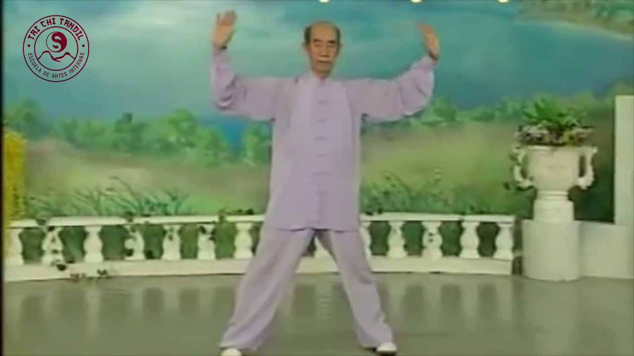 Daoyin Baojian Gong del Prof. Zhang Guande