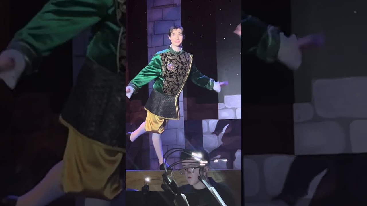 Highlights: Once Upon A Mattress!