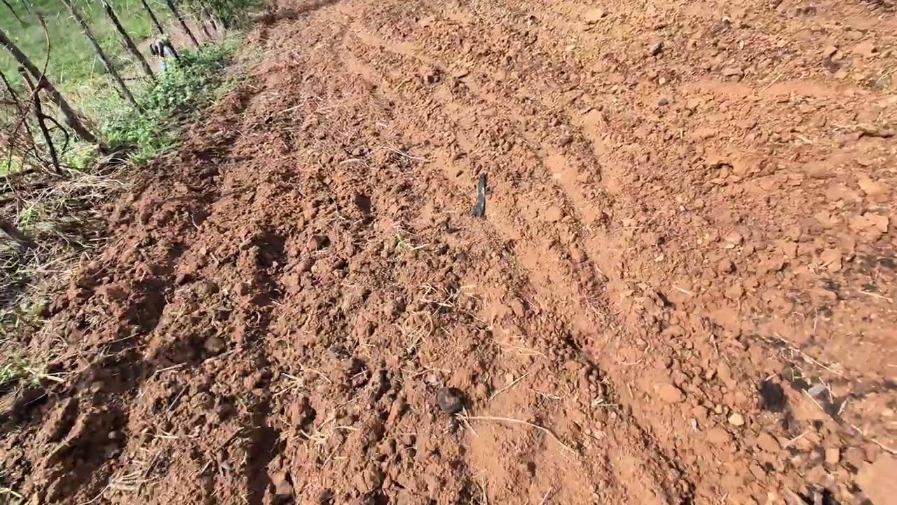 Mostrando o sitio do meu irmão. 