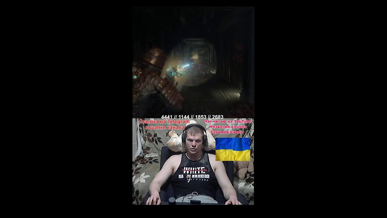 Санизи стримить