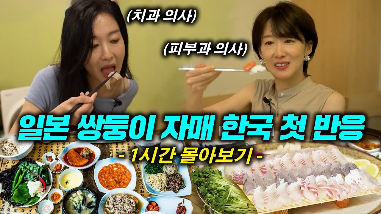 일본쌍둥이 의사 자매, 한국에 오자 인생이 바뀐 이유 l 재일교포 세 자매(1시간 몰아보기)