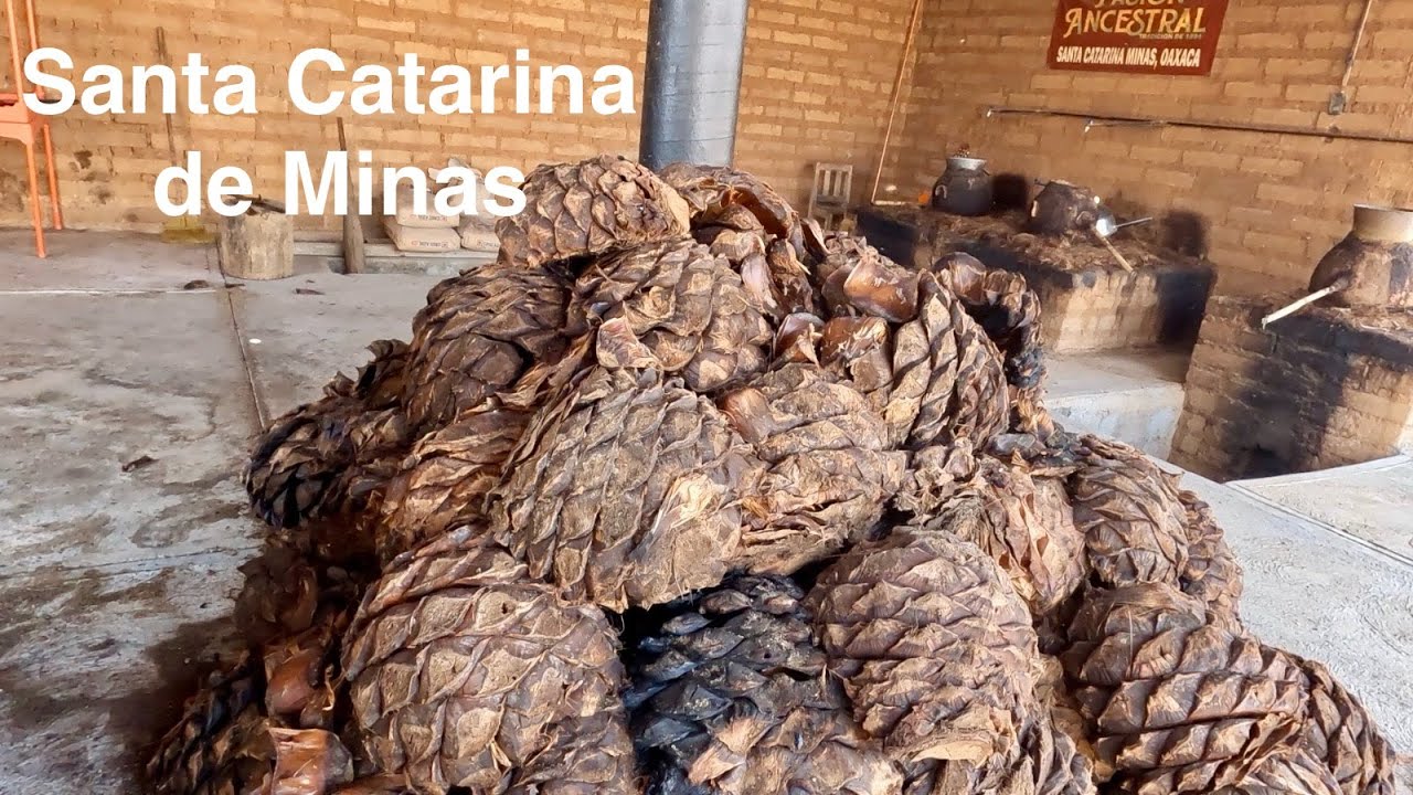 OAXACA ELABORACION DEL MEZCAL SANTA CATARINA DE MINAS  #oaxaca #mezcalartesanal #mexico