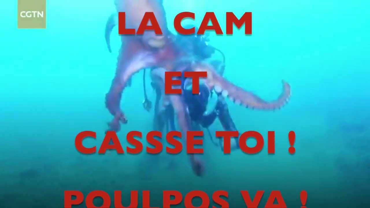 DOUMDOUM TV LES DROITS À L'IMAGE