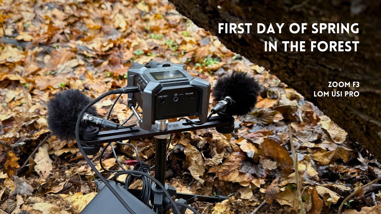 First Day of Spring in the Forest  -  FieldRecording - Zoom F3 and Lom Usi Pro #biosound