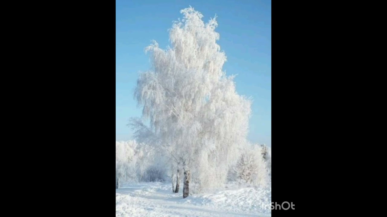Смотри, какая красота!
