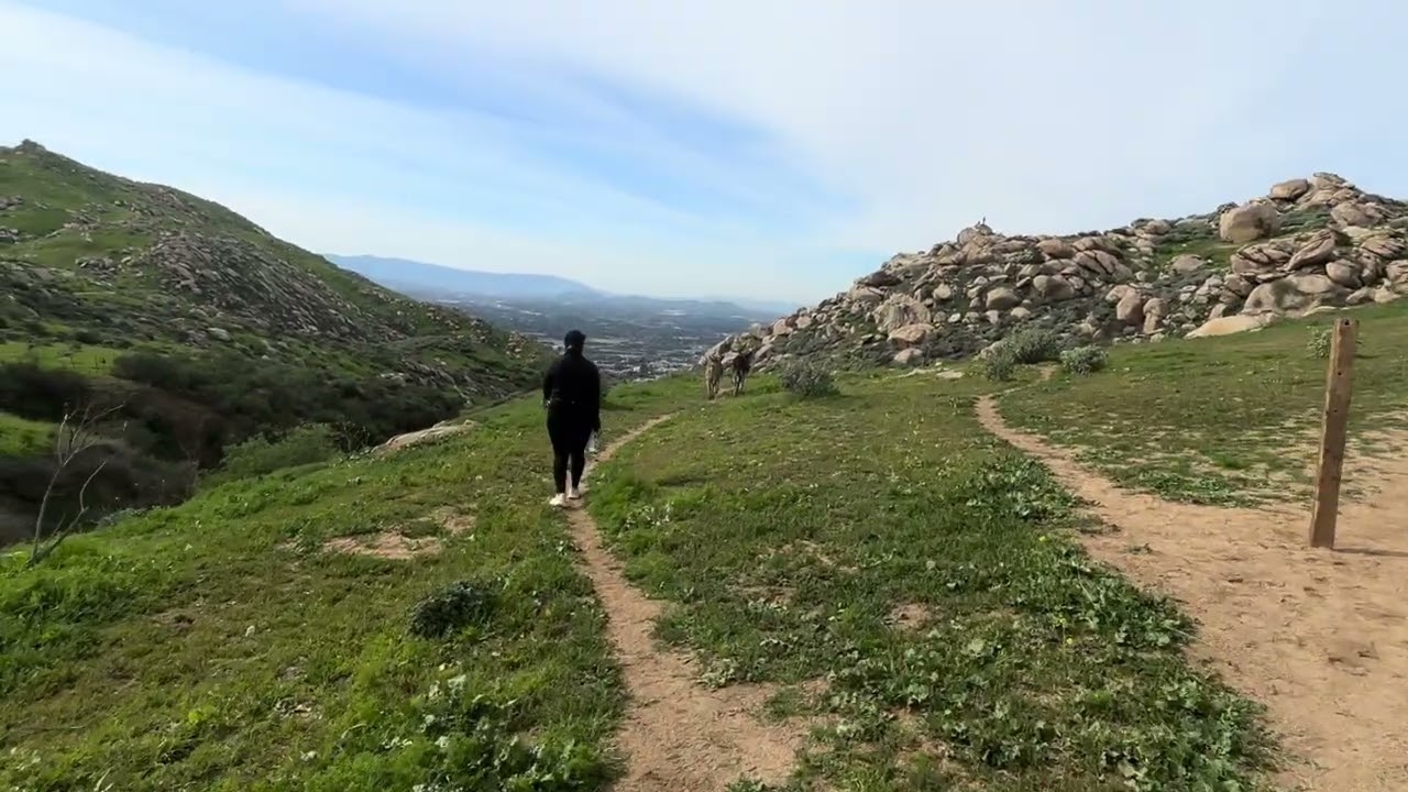 Valió la pena ir a conocer los Burros 🫏 Salvajes ellos conviven con los Leones miramos un Leon 😳😳