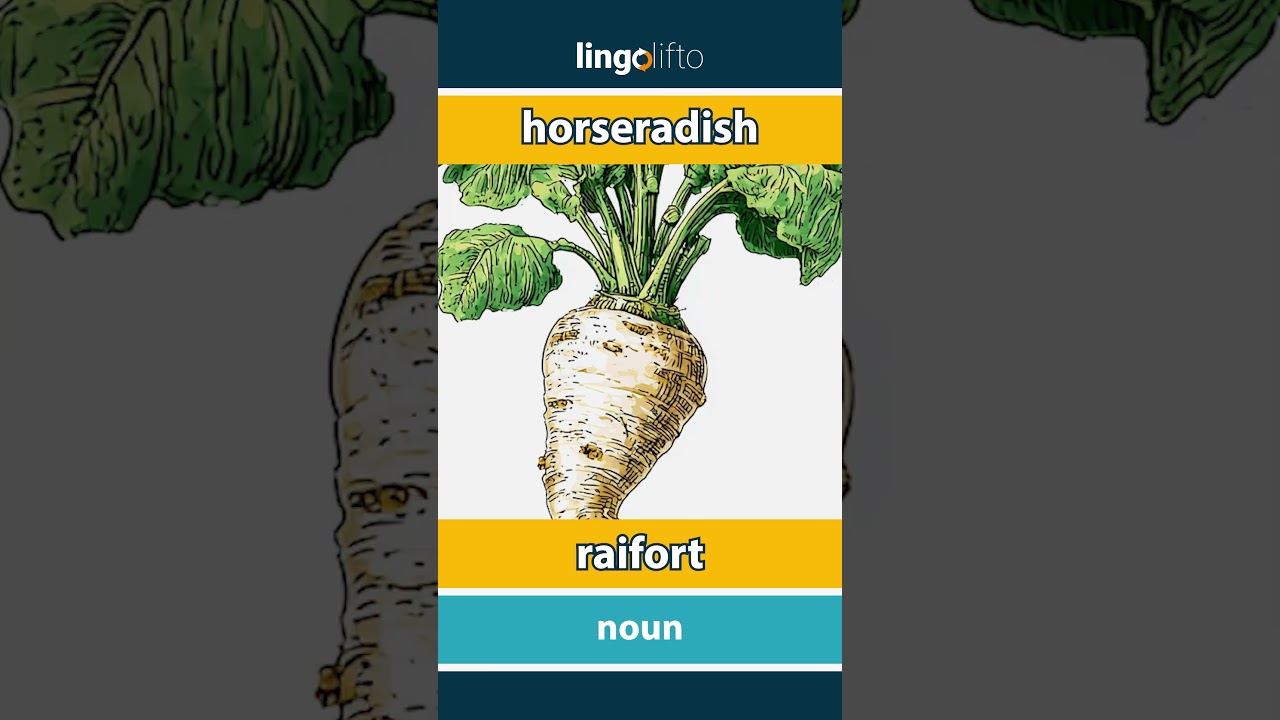 🇬🇧🇫🇷 horseradish - raifort : learn English : apprenons l'anglais : vocabulary builder