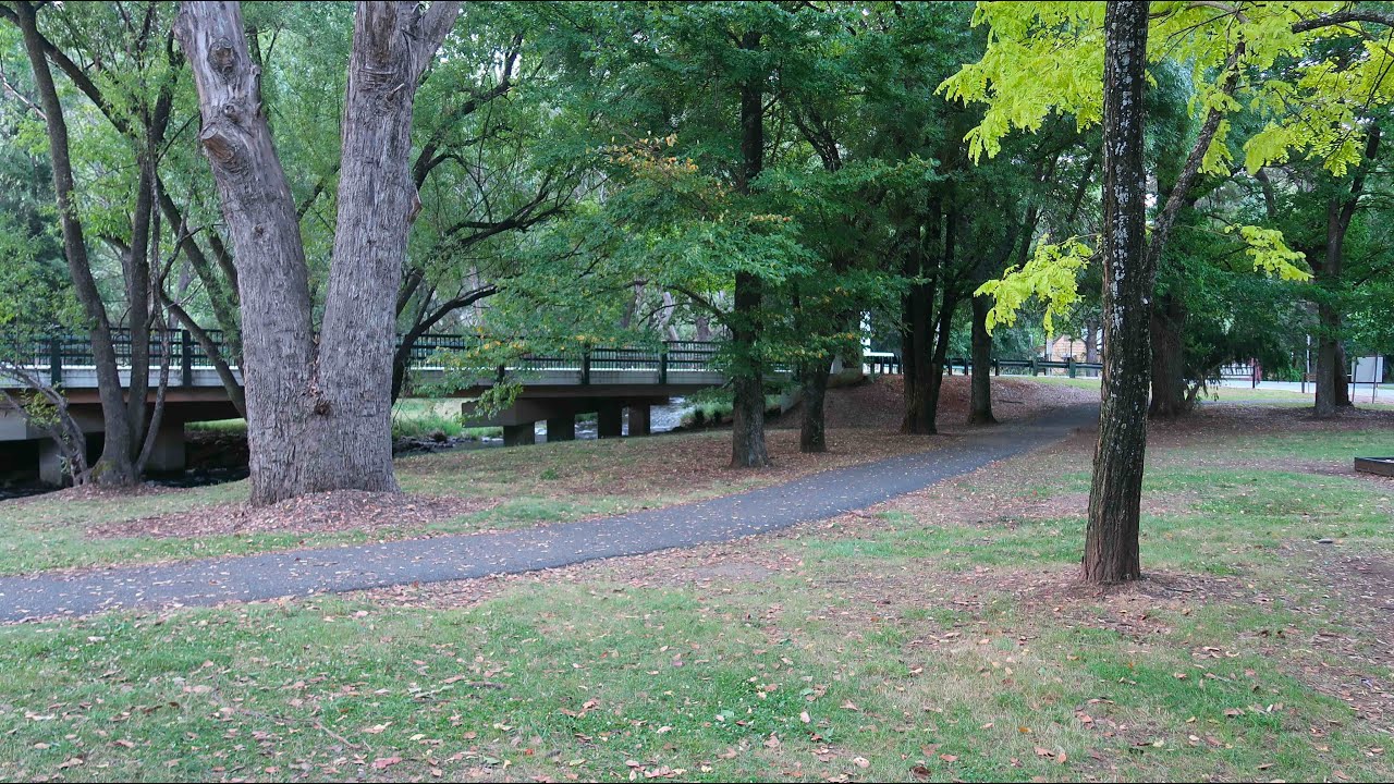 Harrietville Victoria I 🍁 Historic Goldmining Town On the Great Alpine Road I High Country Victoria