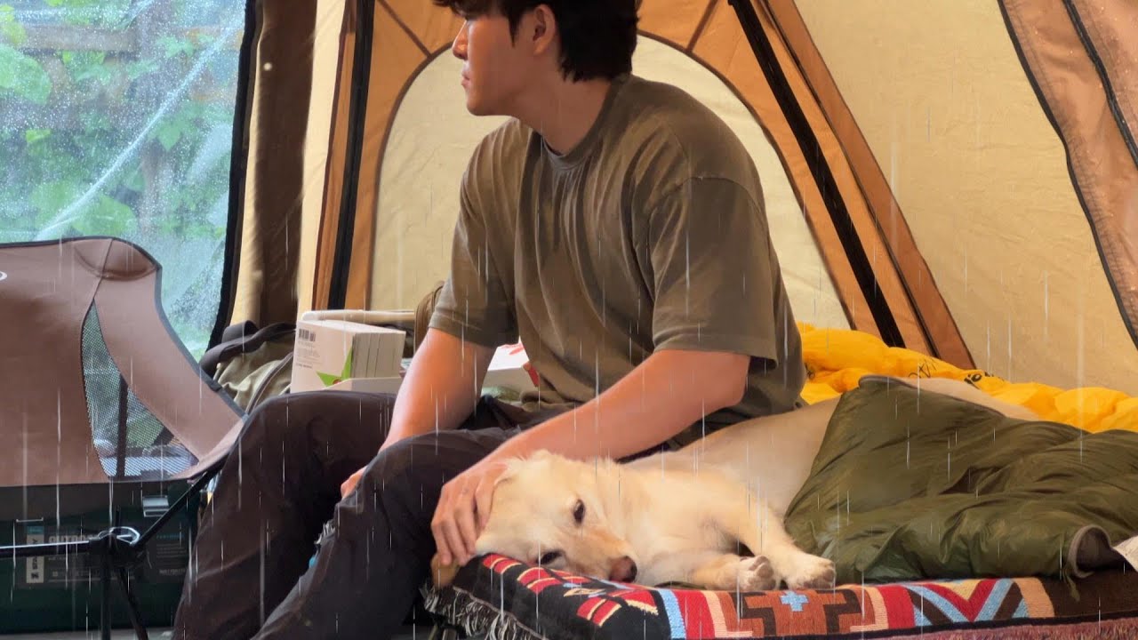 Solo Happy Camping с собакой даже под дождем
