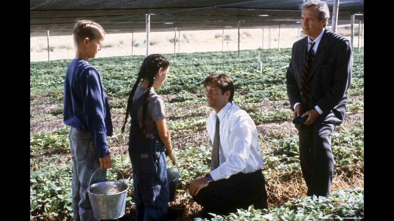 Mark Snow - Needle Neck (The X-Files: Herrenvolk - 04X01)