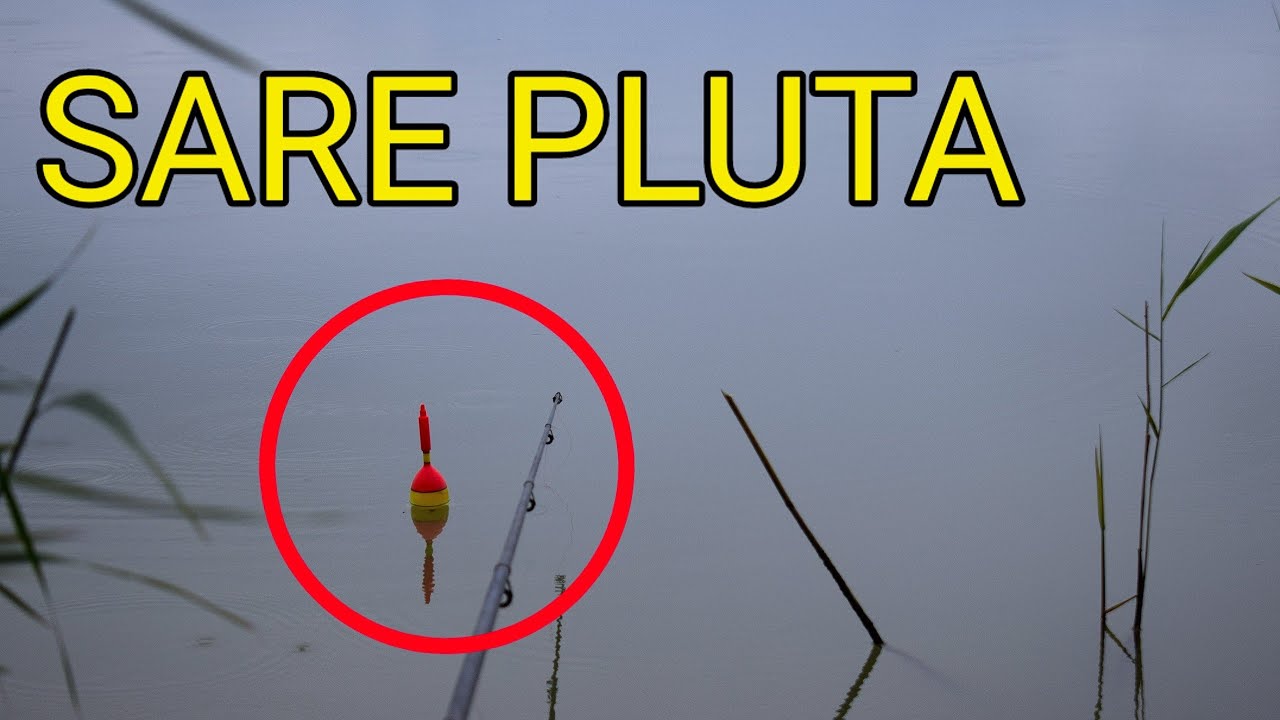 AM PRINS STIUCA INTR-O PARTIDA NEBUNA