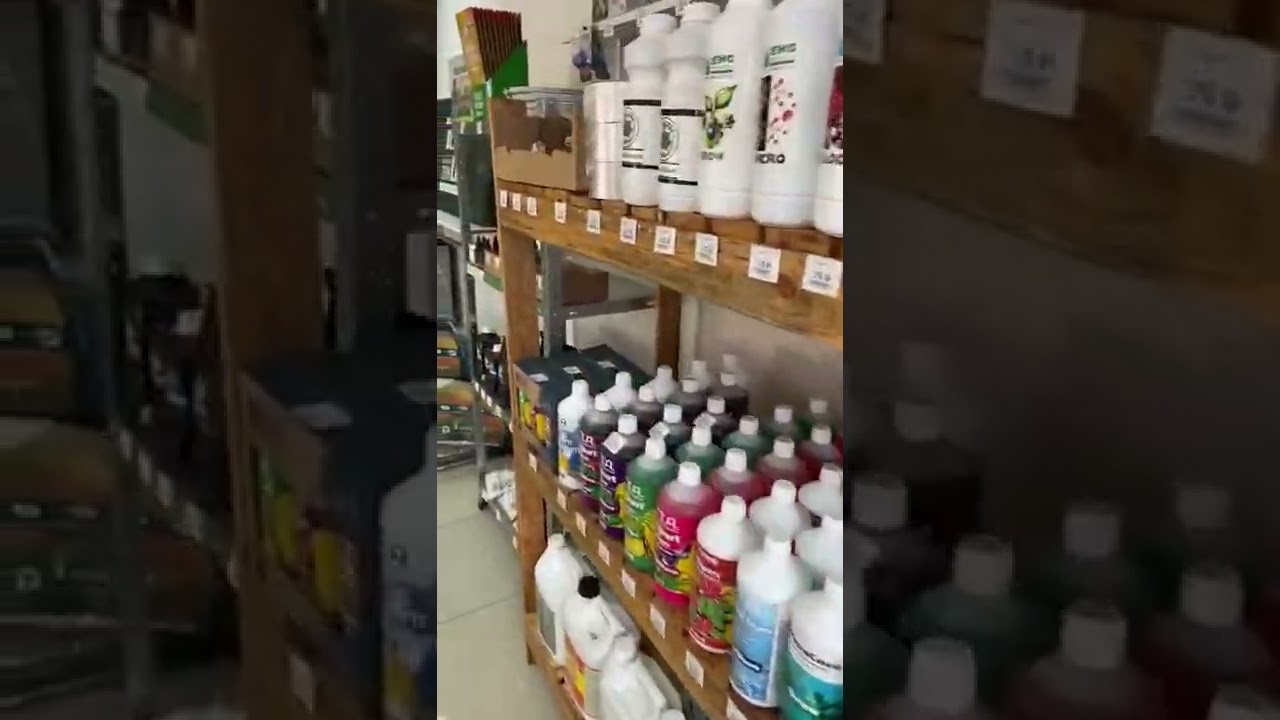 Quick tour of our growshop. Music: Are you ready. Artist: EnjoyMusic #thegrobro #growshop