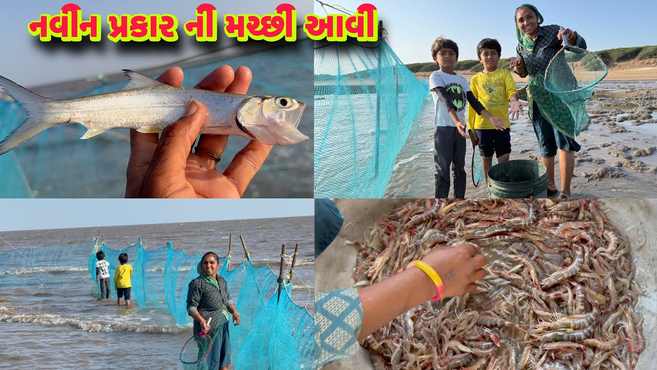 આજે તો હોંઢીયા બોવ પકડયા 🦐🥅 bigg size ships🚢 dariyai khedut