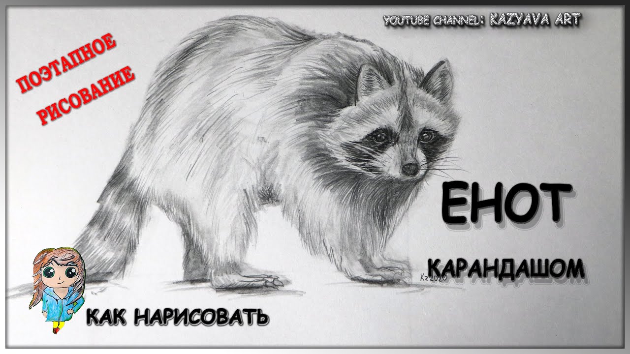 Как нарисовать ЕНОТА в полный рост. Рисунки карандашом. Поэтапное рисование. Легко и просто.
