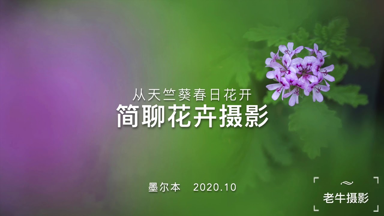 南半球春暖花开 来聊聊花卉摄影