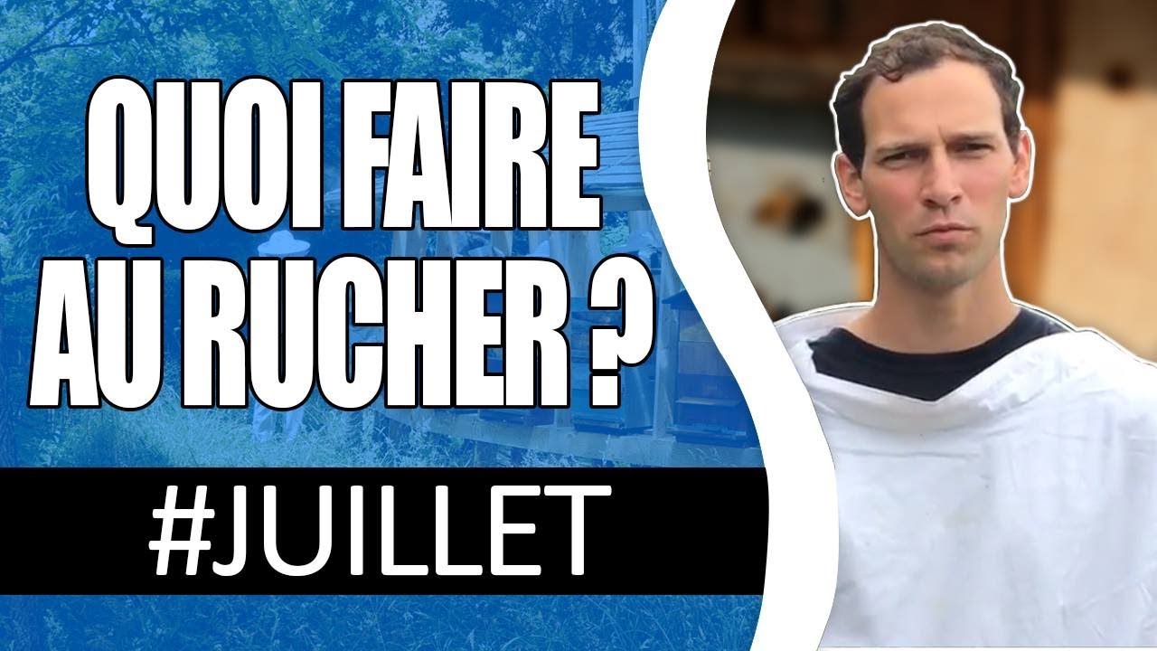 quoi faire au rucher en juillet ???