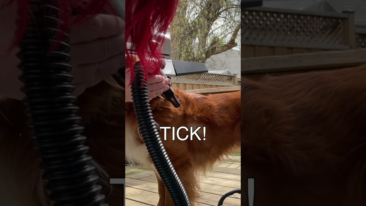 This Simple Tool Finds Ticks FAST! 🤯